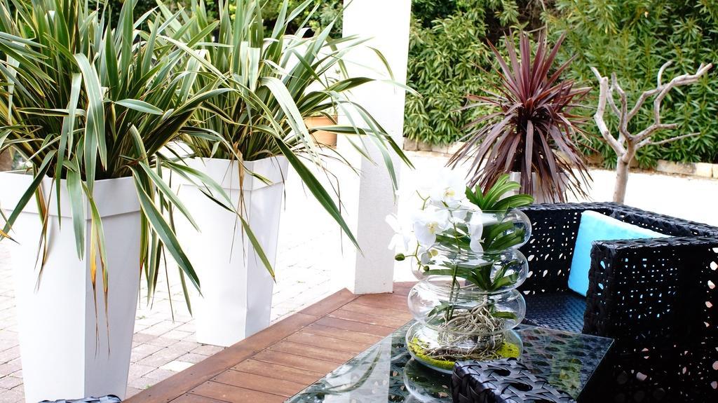 La Villa Blanche Sanary-sur-Mer Quarto foto
