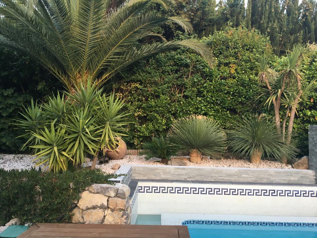 La Villa Blanche Sanary-sur-Mer Exterior foto